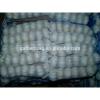 Leading wholesale professional garlic in 8kg/carton #5 small image