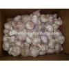 China Red Garlic Exporters, Garlic Selling Leads #3 small image