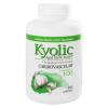 Kyolic - Formula 100 Aged Garlic Extract Cardiovascular - 300 Capsules