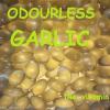 Garlic (360 Odourless Capsules) 12 Months supply L) #1 small image