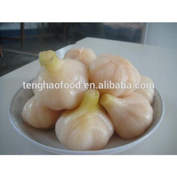 Pickled 2017 year china new crop garlic garlic     #1 image