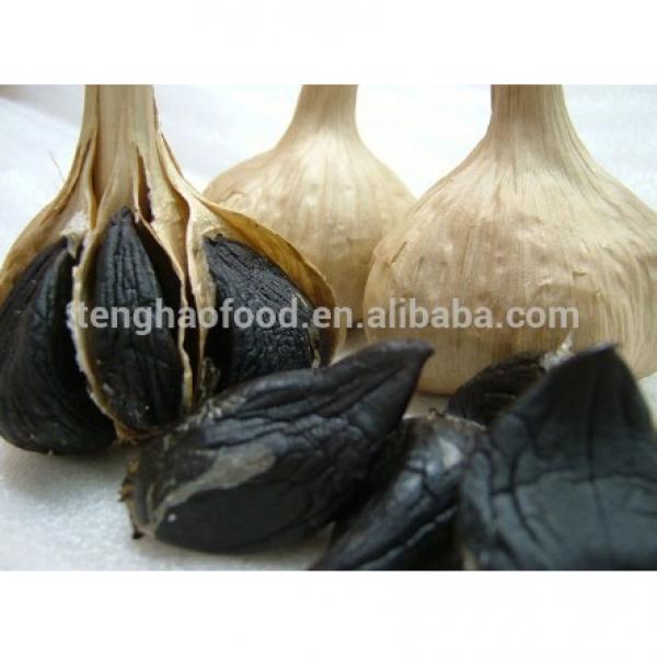 Health 2017 year china new crop garlic Quality  Black  garlic   #3 image