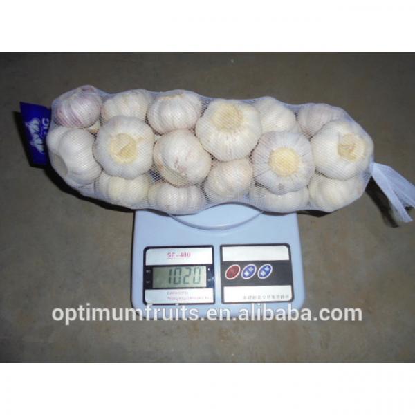 China fresh wholesale garlic price #2 image