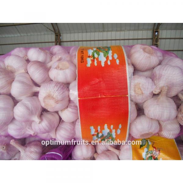 Garlic packaging 20kg Chinese garlic price #5 image