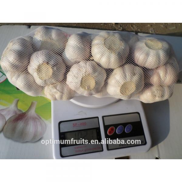 New crop fresh garlic from China #4 image