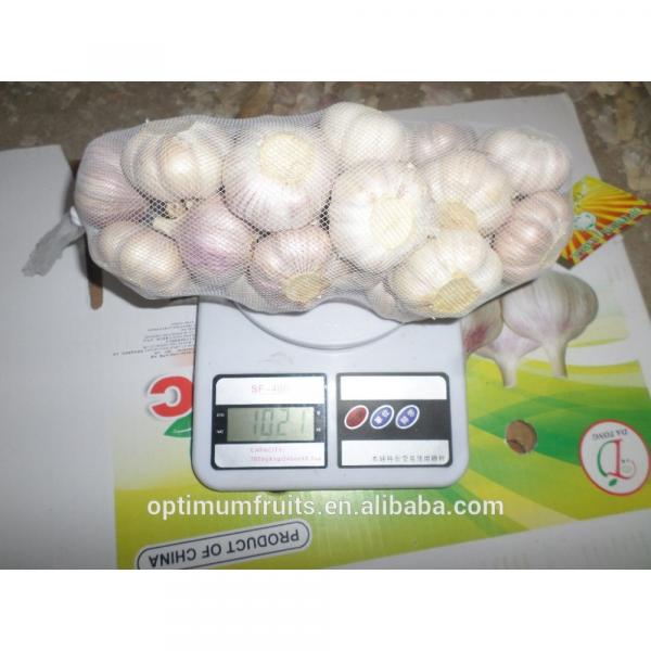 New crop fresh garlic from China #2 image