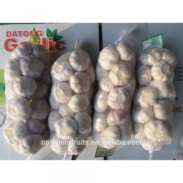 New crop fresh garlic from China #6 image