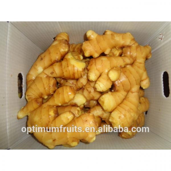 China Shandong garlic&amp;ginger exporters #6 image
