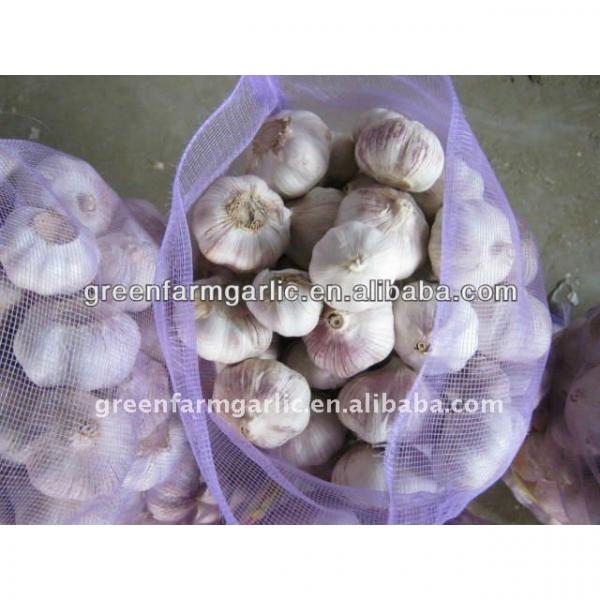 2014 chinese fresh garlic #1 image