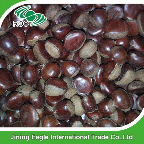 New crop Chinese fresh delicious chestnuts #2 image