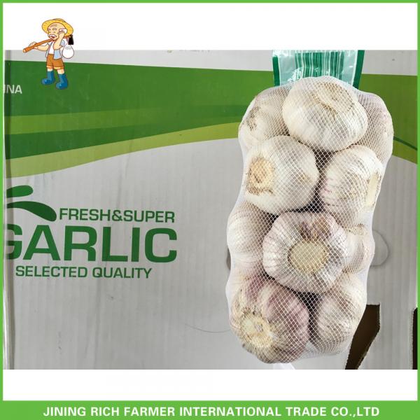 Hot Sale Fresh Normal White Garlic 5.0 cm /5p In 4 Mesh Bag For Jordan #4 image