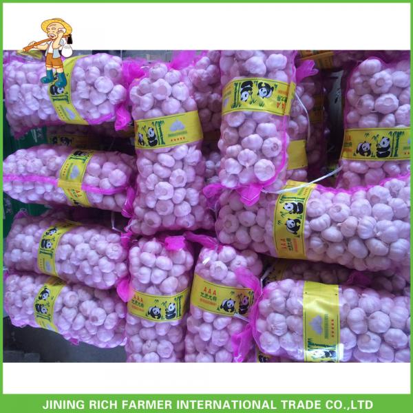 Hot Sale Top Quality New Crop Fresh Pure White Garlic 5.0 cm In 10KG Carton For Tunisia #5 image
