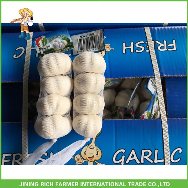 Jinxiang China Fresh White Garlic High Quality Cheapest Price 5.0CM #1 image