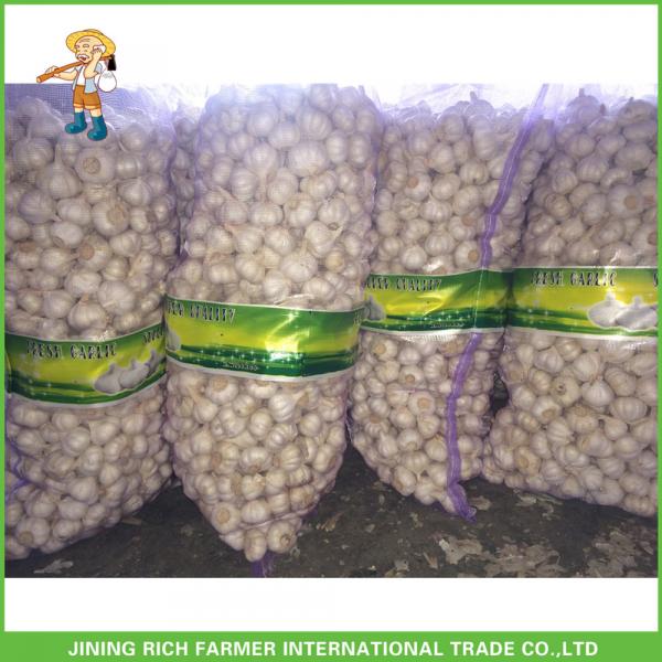 Jinxiang China Fresh White Garlic High Quality Cheapest Price 5.0CM #2 image