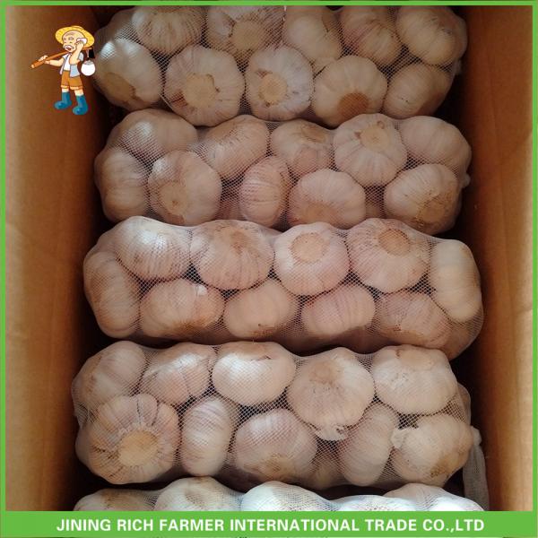2017 Fresh Normal White Garlic 5.5CM In 10KG Carton For Brazil Cheapest Price High Quality #1 image
