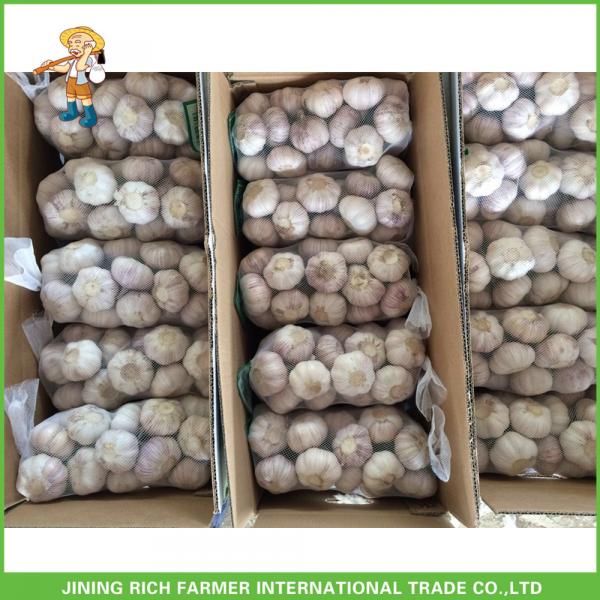 2017 Fresh Normal White Garlic 5.5CM In 10KG Carton For Brazil Cheapest Price High Quality #3 image
