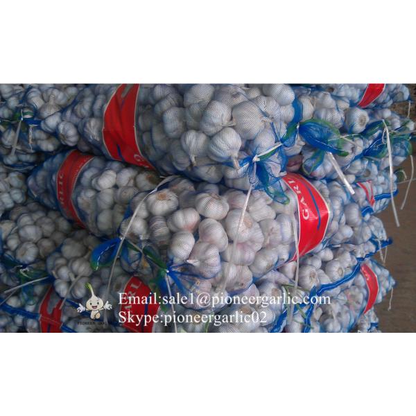 New Crop 5.5cm Normal White Fresh Garlic In 10 kg Mesh Bag packing #2 image