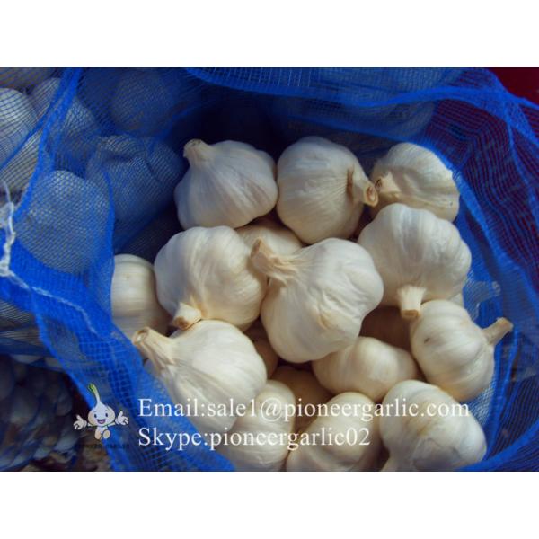 New Crop 5.5cm Normal White Fresh Garlic In 10 kg Mesh Bag packing #4 image