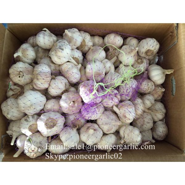 Chinese Fresh Garlic Normal White Red Garlic Exported to Tunisia Market #5 image