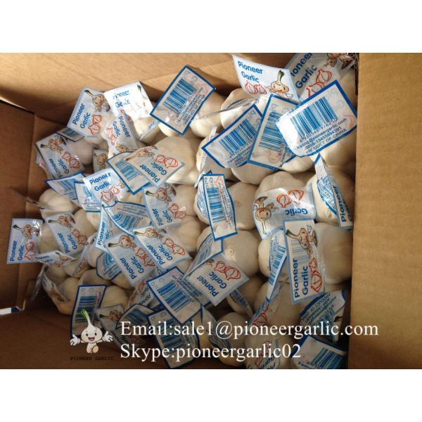 New Crop Chinese 4.5cm Pure White Fresh Garlic In 10 kg Box Packing #1 image
