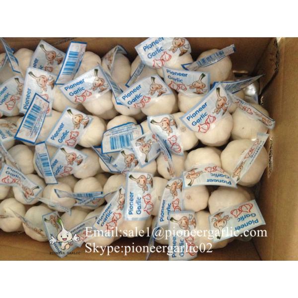 New Crop Chinese 4.5cm Pure White Fresh Garlic 3p small packing in box #1 image