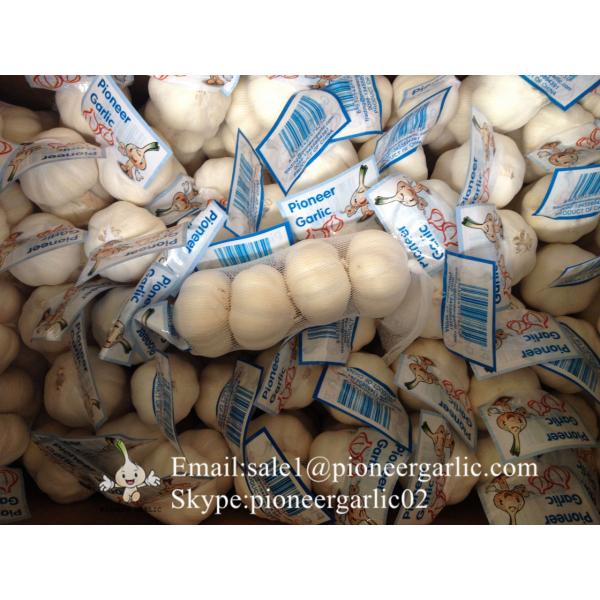 New Crop Chinese 4.5cm Pure White Fresh Garlic In 10 kg Box Packing #5 image