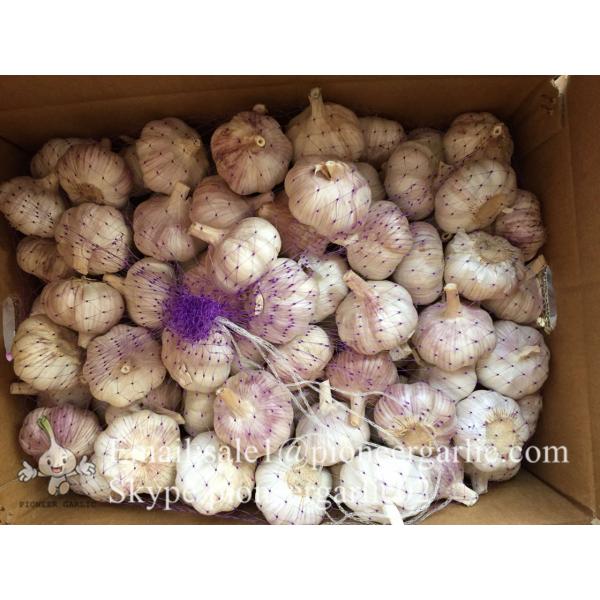 Chinese Fresh Red (Allium Sativum) Garlic Loose Packing #3 image