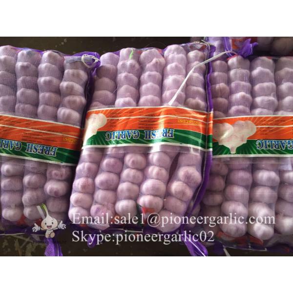 New Crop Fresh Jinxiang Normal White Garlic 5cm And Up In Mesh Bag Packing #2 image