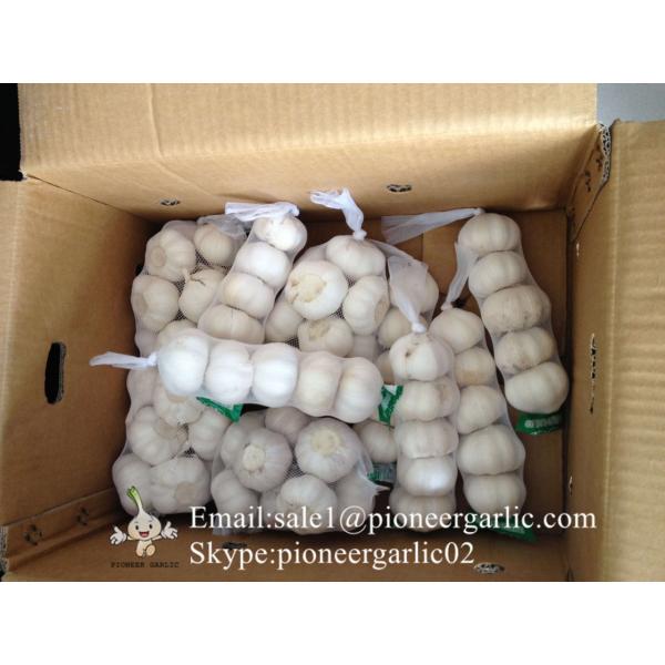 2017 Crop Pure White 5.5cm Fresh Garlic From Jinxiang Small Packing #1 image