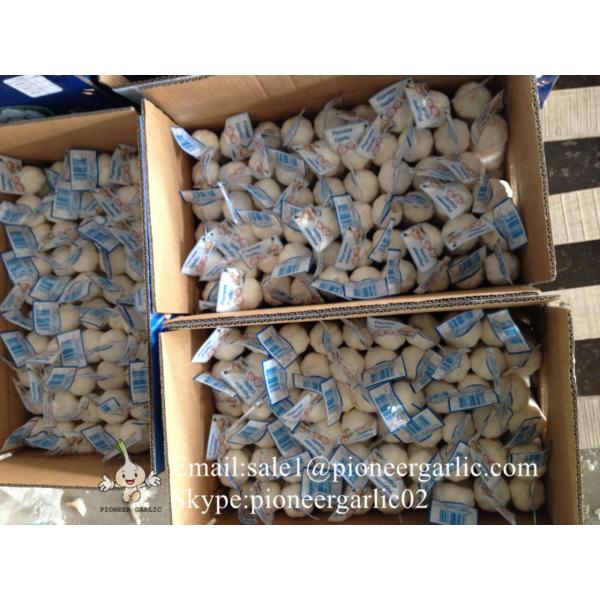 Chinese Fresh Jinxiang Pure White Garlic Small Packing In 10kg Box #1 image