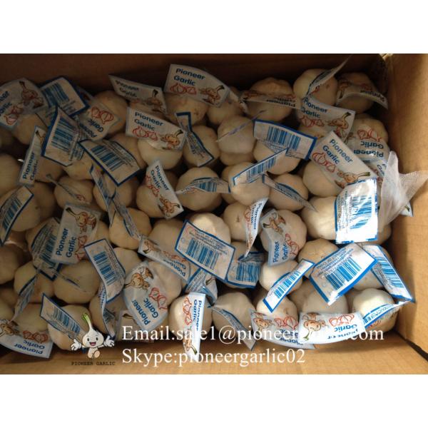 New Crop Chinese 4.5cm Pure White Fresh Garlic 3p small packing in box #3 image