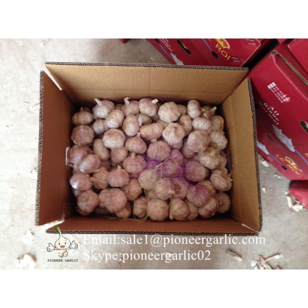 Chinese Fresh Garlic Normal White Red Garlic Exported to Tunisia Market #2 image