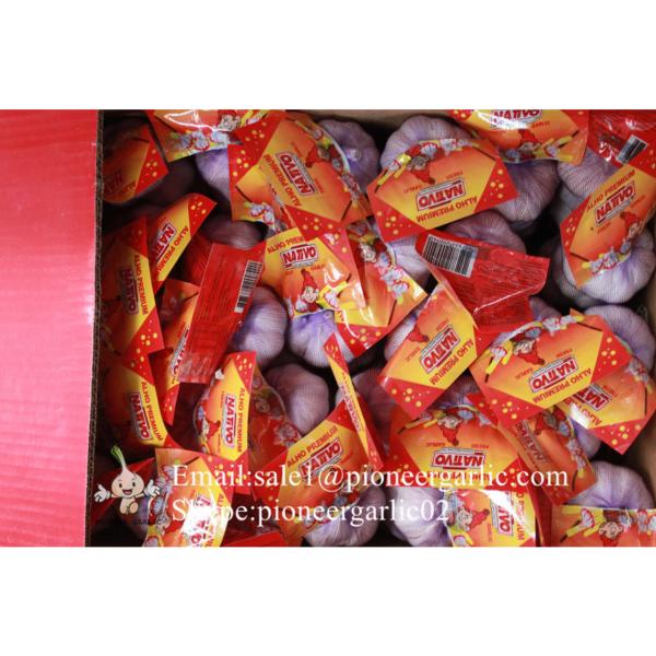 New Crop Chinese 4.5cm Snow White Fresh Garlic Loose Carton Packing #5 image