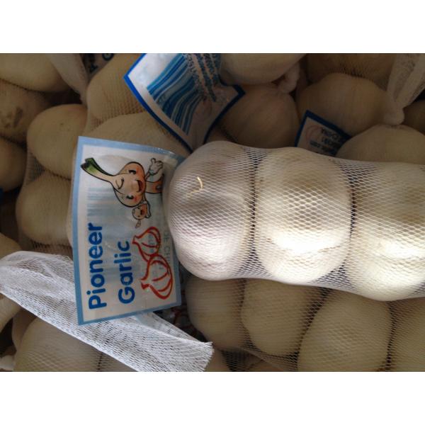 New Crop Chinese 4.5cm Snow White Fresh Garlic 3p small packing in box #2 image