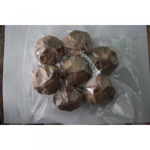 Chinese Black Fresh Garlic Healthy Food Hot Sale Best Quality with Good Price #1 image