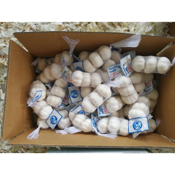 Chinese 100% Pure White Garlic Exported to Costa Rica Guatemala #3 image
