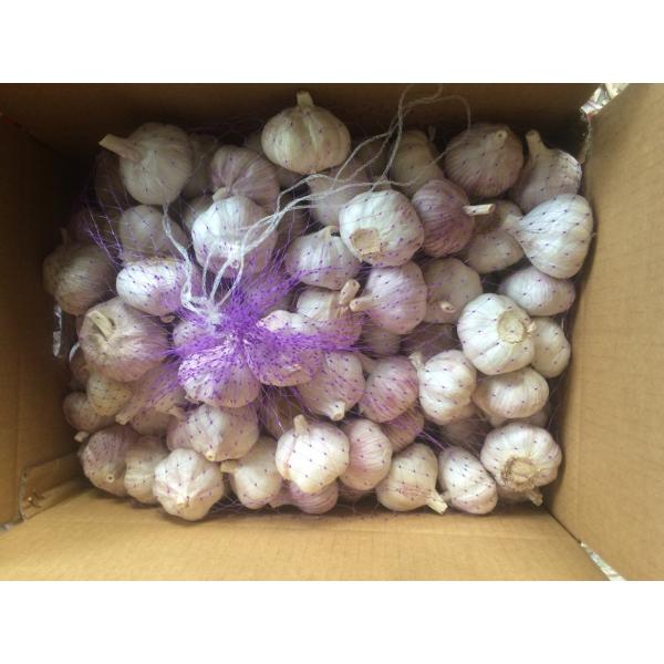 Normal Garlic Ingredient of Black Garlic for Colds Fresh New Crop 2017 Garlic #5 image