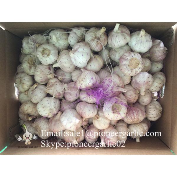 Chinese Fresh Red (Allium Sativum) Garlic Loose Packing #2 image