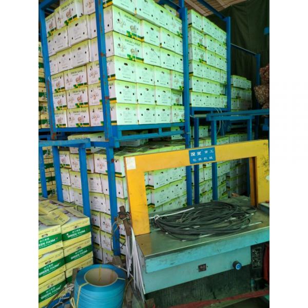 CHINA GARLIC ARE EXPORTED TO BRAASIL MARKET (GOODFARMER) #2 image