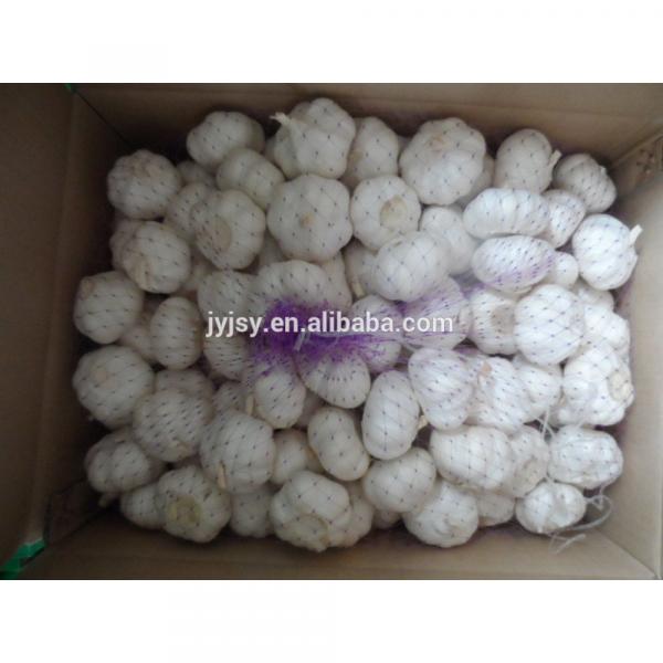 garlic of china superior quality and good price #2 image