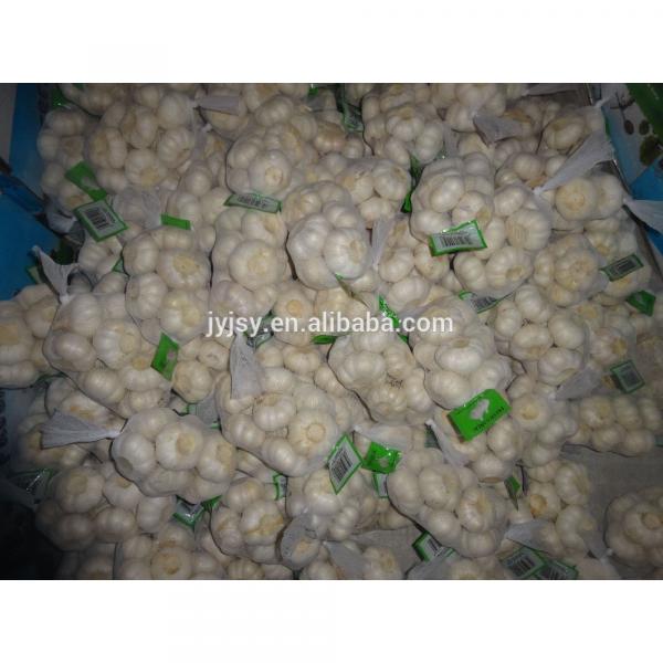 2017 fresh white garlic and nomal white garlic from china #5 image