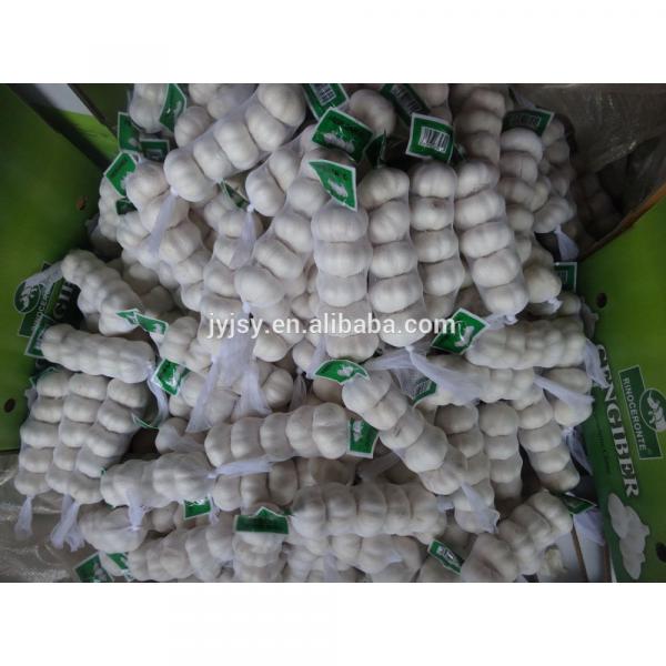 fresh garlic from china jixiang #2 image