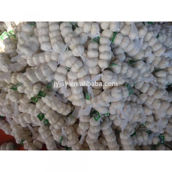 2017 china garlic for sale fresh garlic #2 image