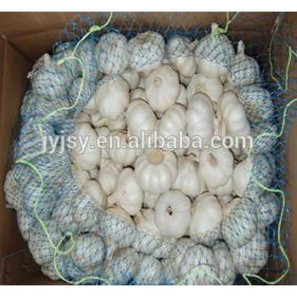 fresh pure white and normal white garlic for 2017 #3 image