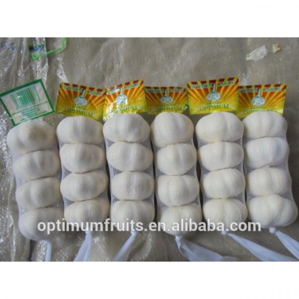 Garlic packaging 20kg Chinese garlic price #2 image