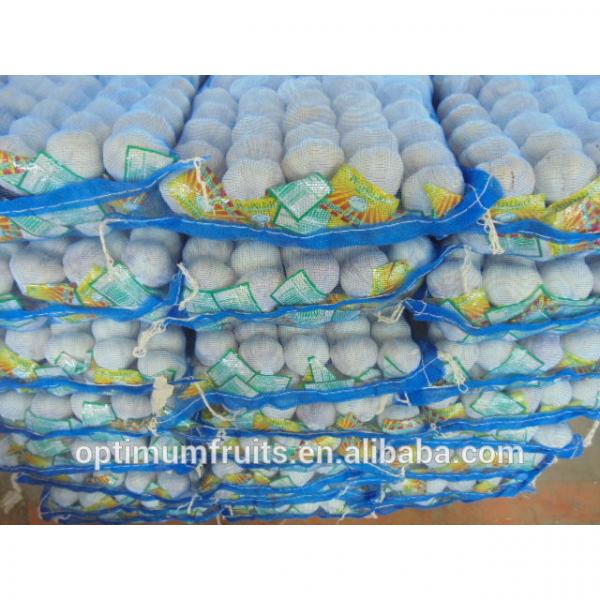 Garlic from China for export with best quality #4 image