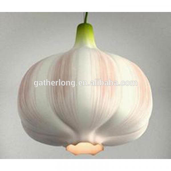 Supply 2017 crop farmer wholesale garlic in China #1 image