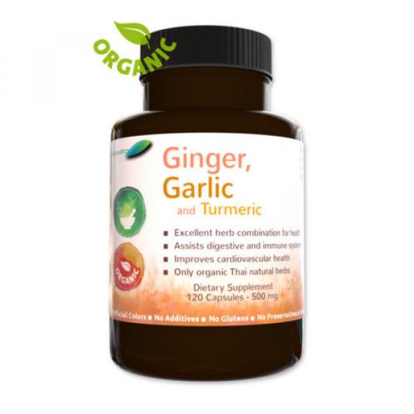 Turmeric with Garlic &amp; Ginger  120 Capsules Circulatory Antioxidant #1 image