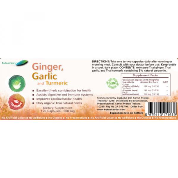 Turmeric with Garlic &amp; Ginger  120 Capsules Circulatory Antioxidant #2 image