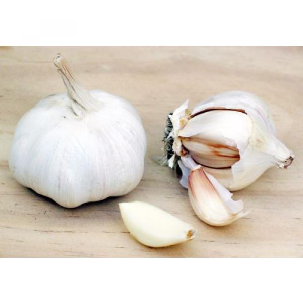 Garlic Liver Cleanse - GARLIC ODORLESS 400MG -Effective Against Warts &amp; Corns 3B #5 image